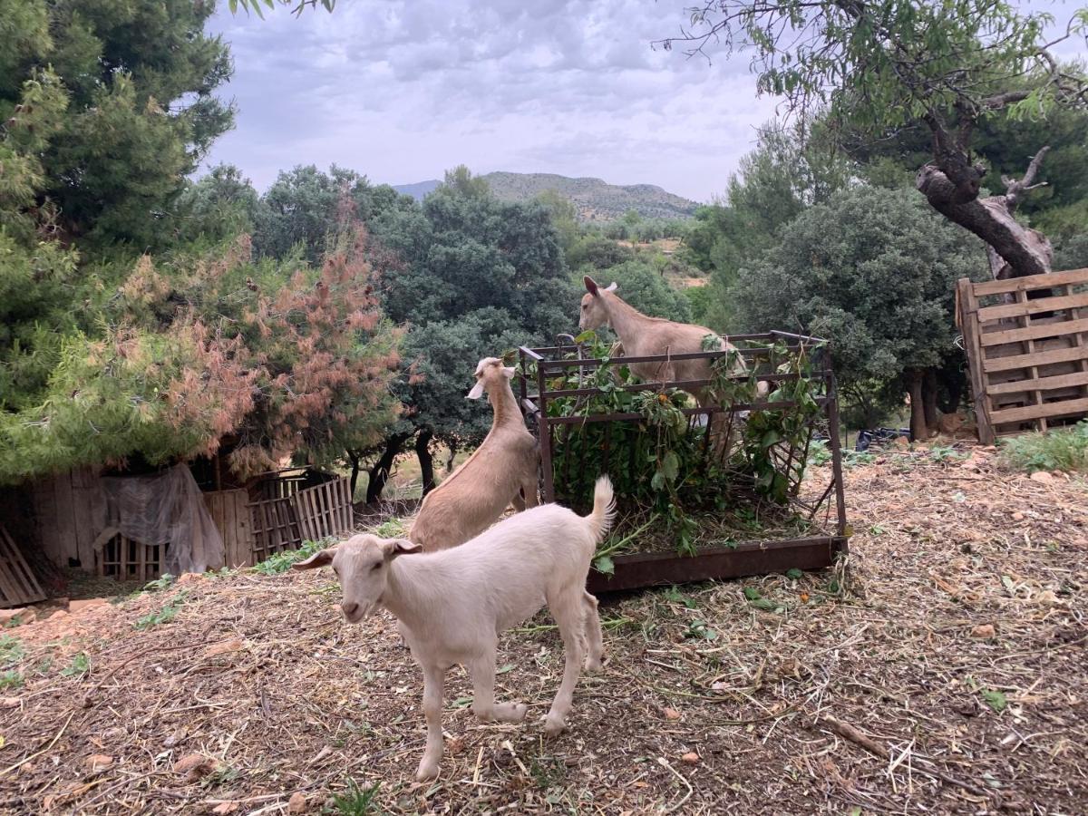 Cabanas Cortijo El Helao Pozo Alcón Esterno foto